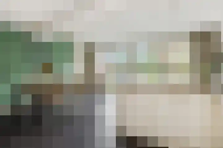Sleutelbloem 12 Deurne thumbnail 21