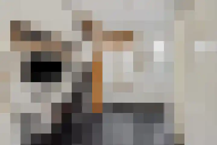 Sleutelbloem 12 Deurne thumbnail 24