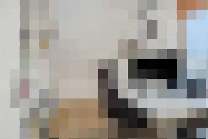 Sleutelbloem 12 Deurne thumbnail 27