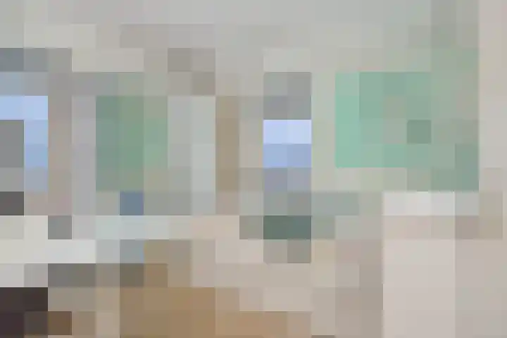 Sleutelbloem 12 Deurne thumbnail 28