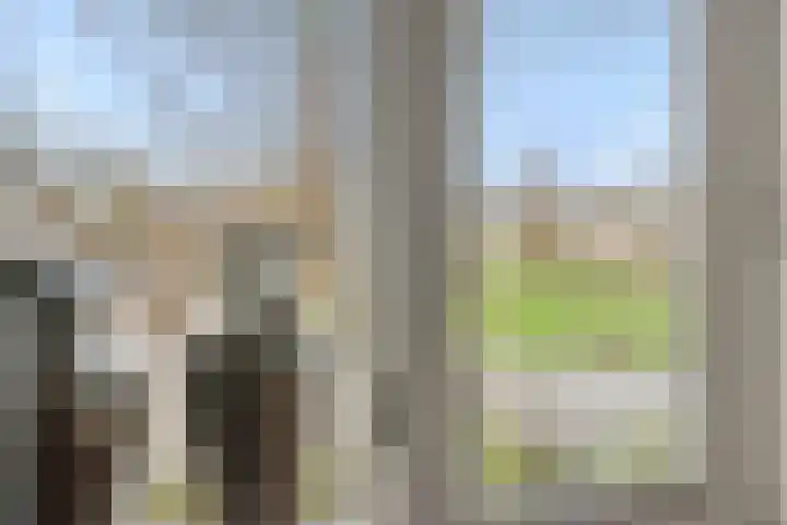 Sleutelbloem 12 Deurne thumbnail 30