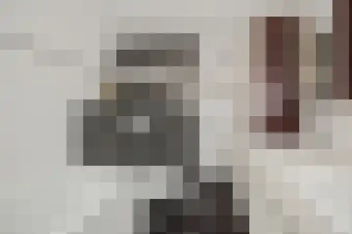 Sleutelbloem 12 Deurne thumbnail 31