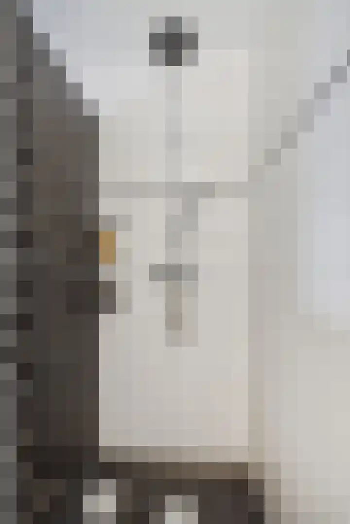 Sleutelbloem 12 Deurne thumbnail 33