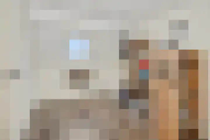 Sleutelbloem 12 Deurne thumbnail 37
