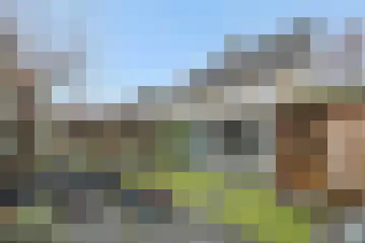 Sleutelbloem 12 Deurne thumbnail 39