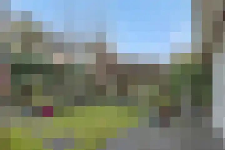 Sleutelbloem 12 Deurne thumbnail 40