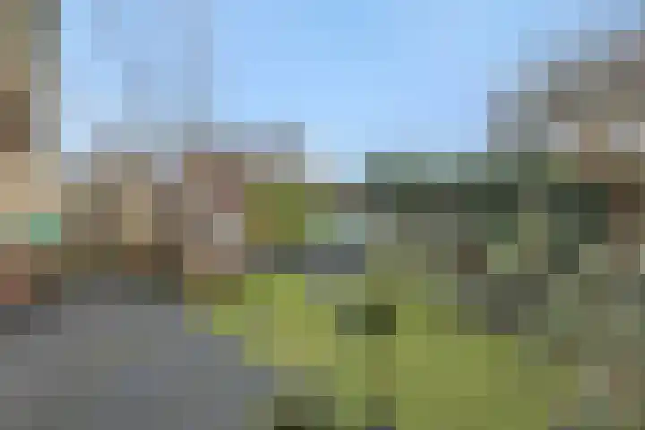 Sleutelbloem 12 Deurne thumbnail 41