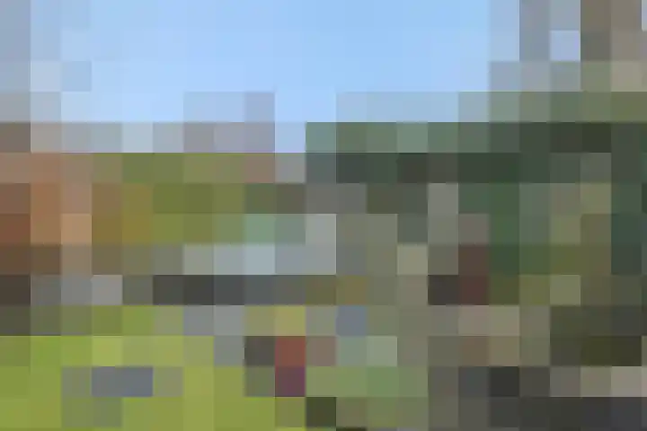 Sleutelbloem 12 Deurne thumbnail 42
