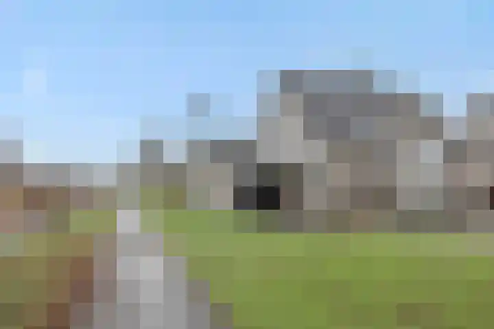 Sleutelbloem 12 Deurne thumbnail 45