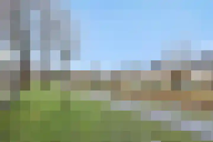 Sleutelbloem 12 Deurne thumbnail 46