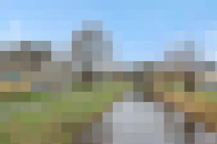 Sleutelbloem 12 Deurne thumbnail 47