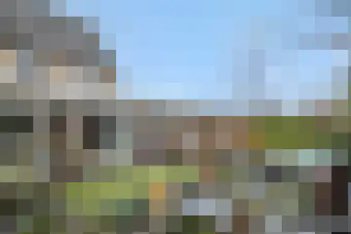 Sleutelbloem 12 Deurne thumbnail 5