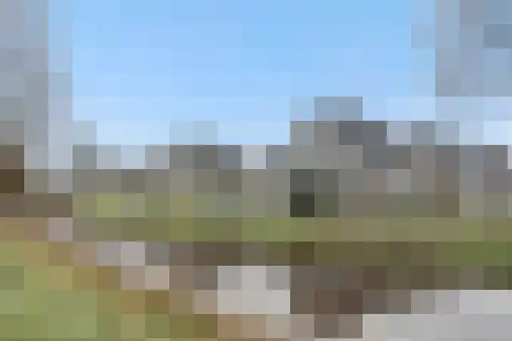 Sleutelbloem 12 Deurne thumbnail 6