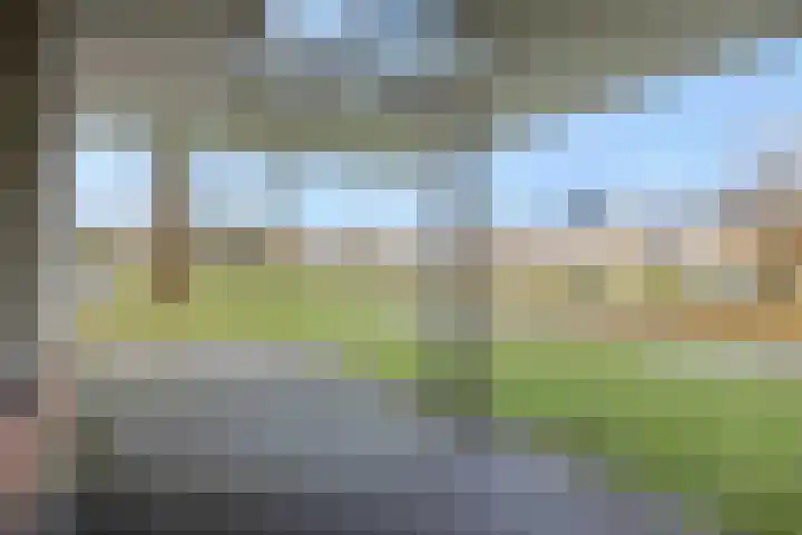Sleutelbloem 12 Deurne thumbnail 8