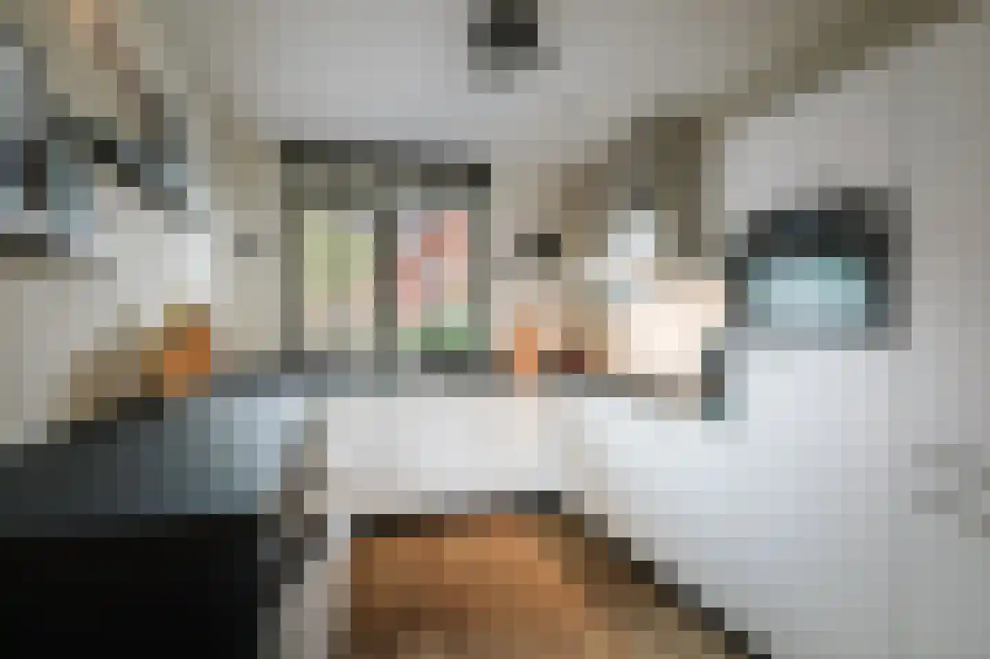 Sleutelbloem 12 Twello thumbnail 11