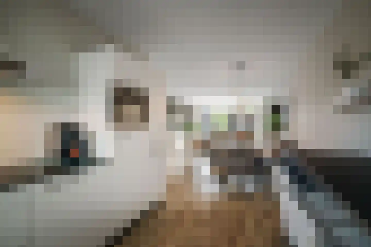 Sleutelbloem 12 Twello thumbnail 13