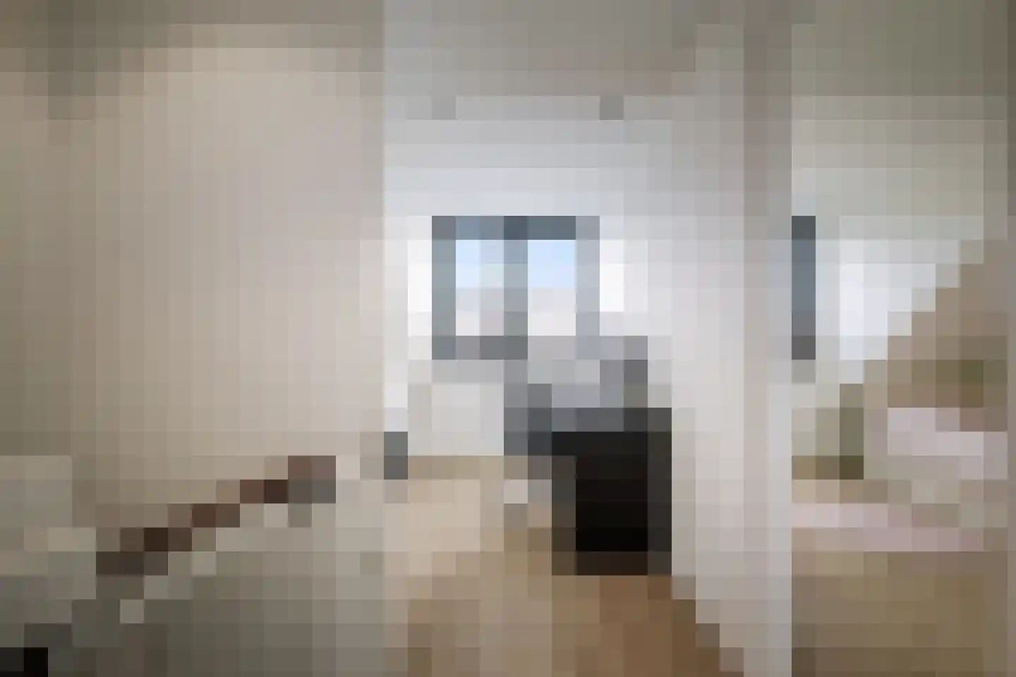Sleutelbloem 12 Twello thumbnail 21