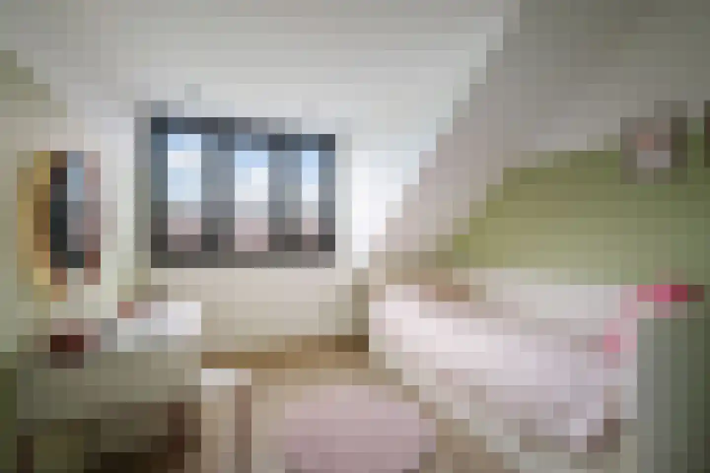 Sleutelbloem 12 Twello thumbnail 22