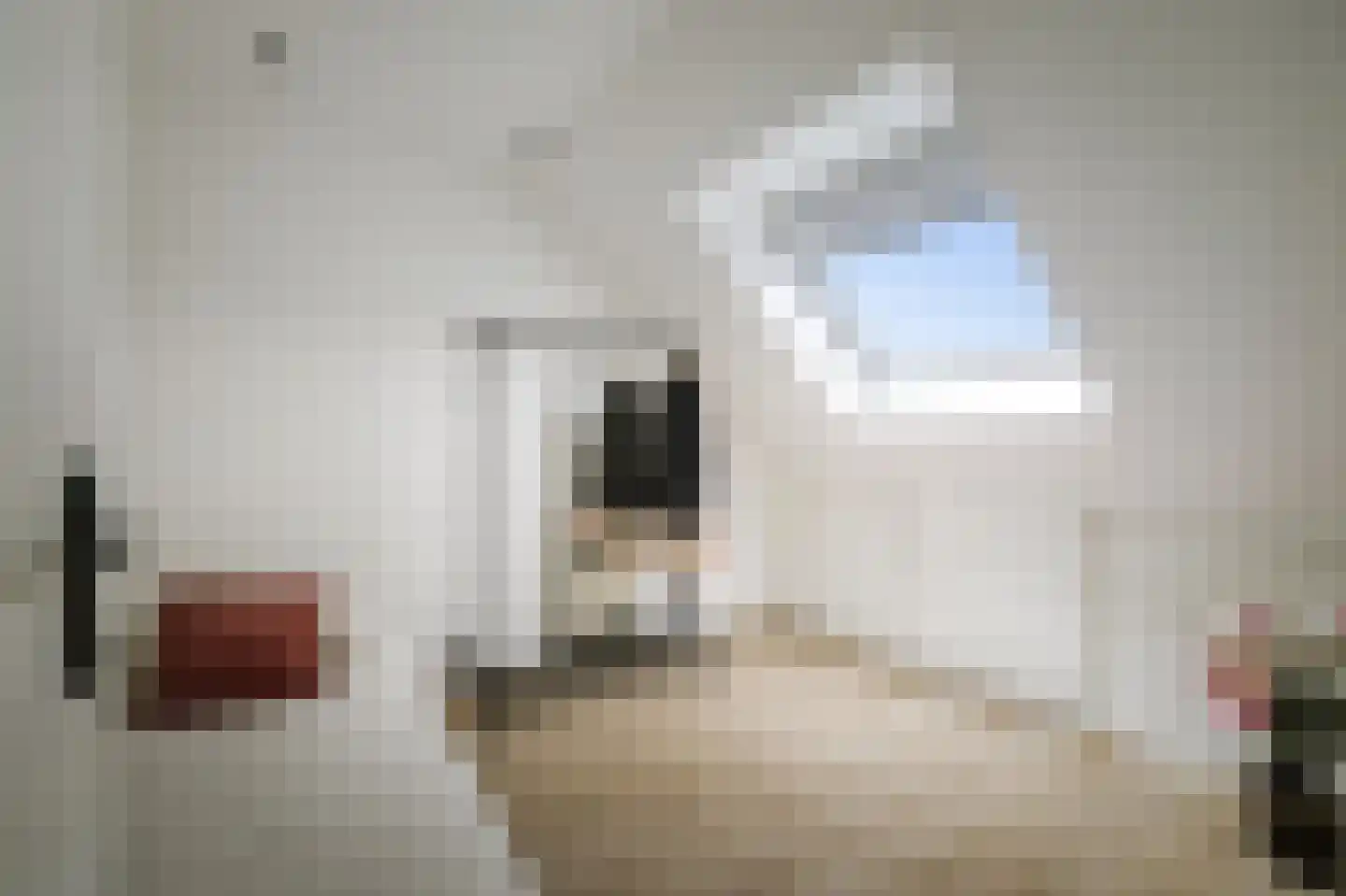 Sleutelbloem 12 Twello thumbnail 24