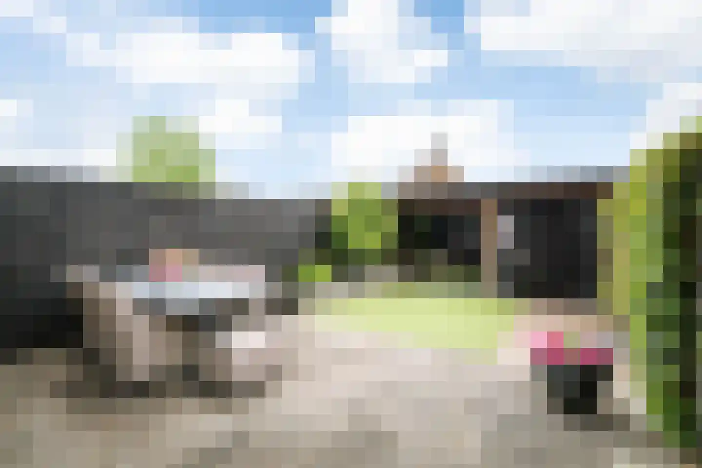 Sleutelbloem 12 Twello thumbnail 26