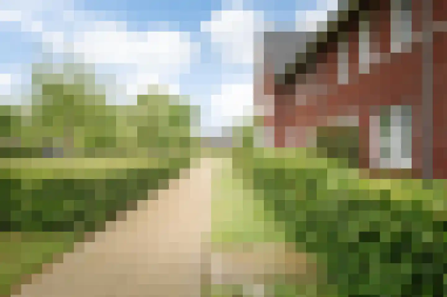 Sleutelbloem 12 Twello thumbnail 28