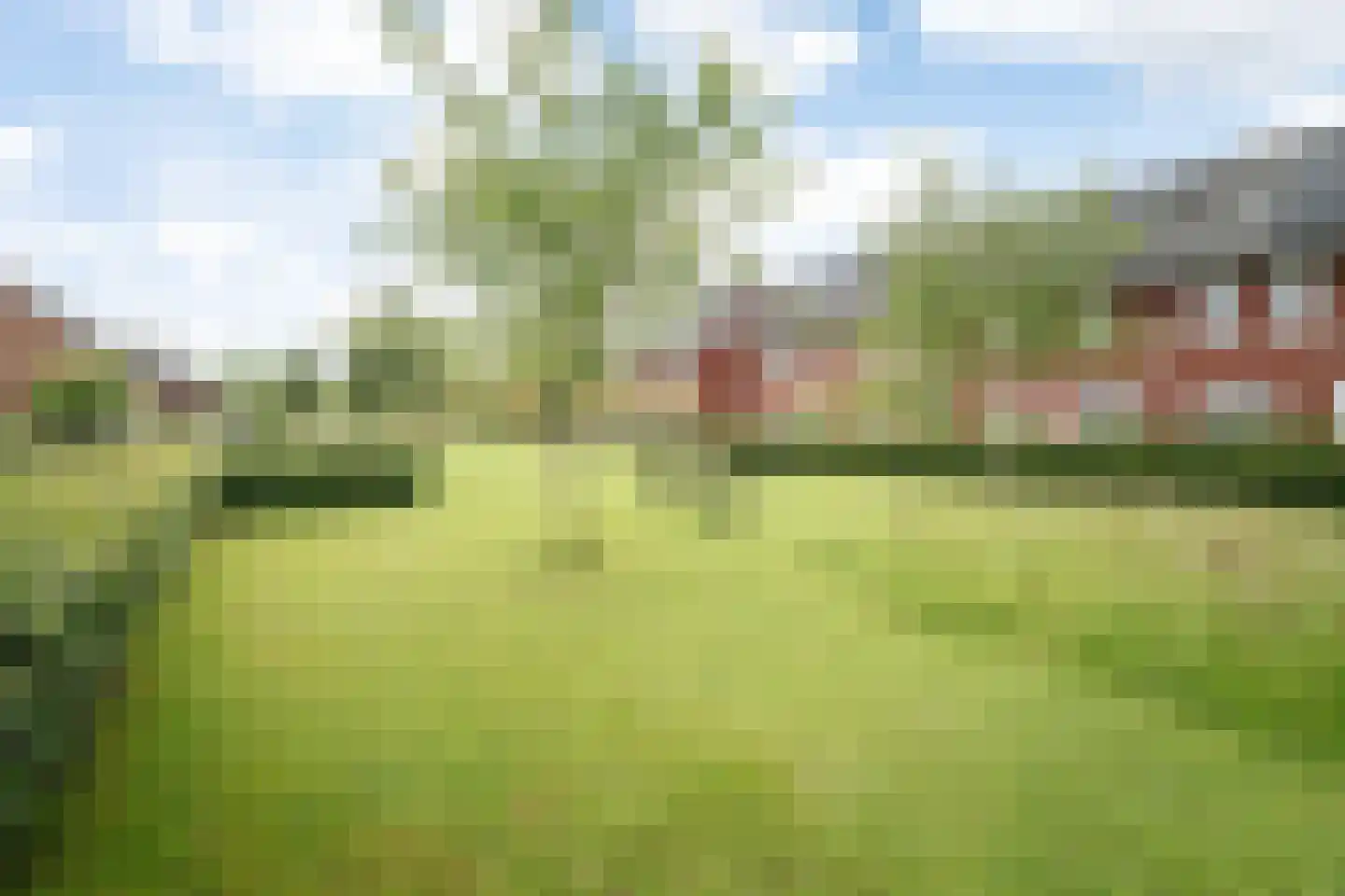 Sleutelbloem 12 Twello thumbnail 29