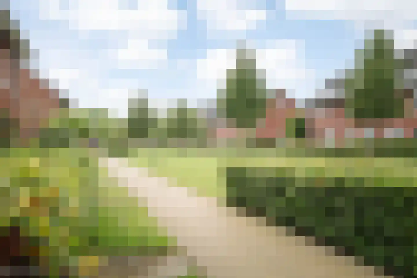 Sleutelbloem 12 Twello thumbnail 30
