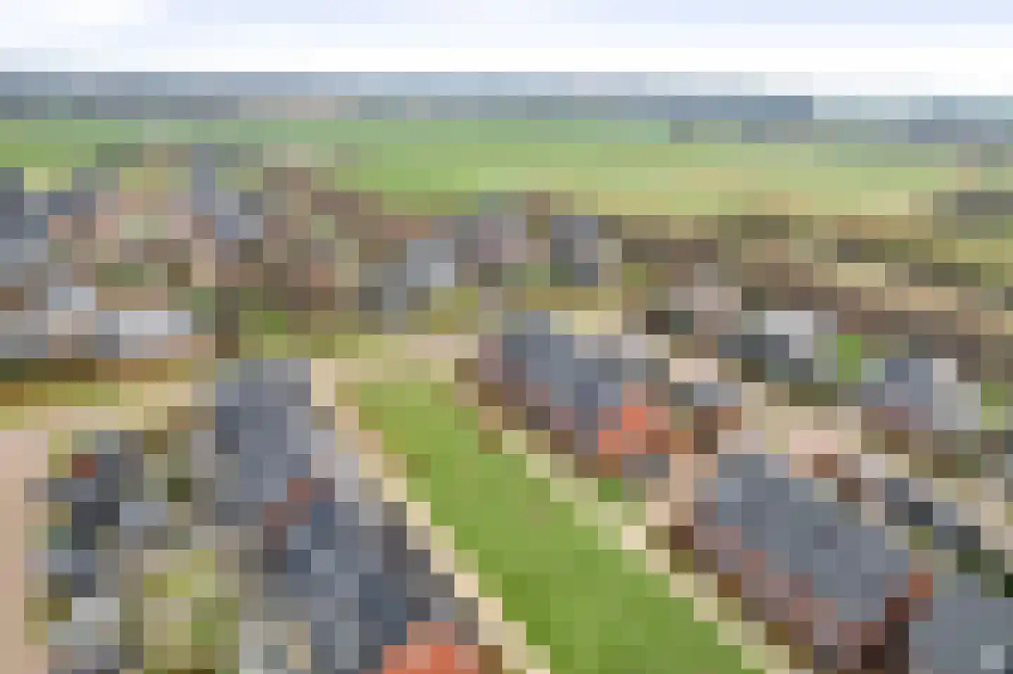 Sleutelbloem 12 Twello thumbnail 31