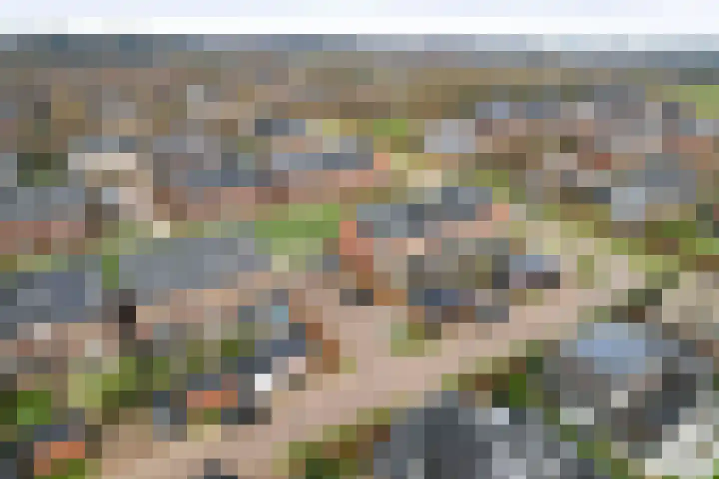 Sleutelbloem 12 Twello thumbnail 32