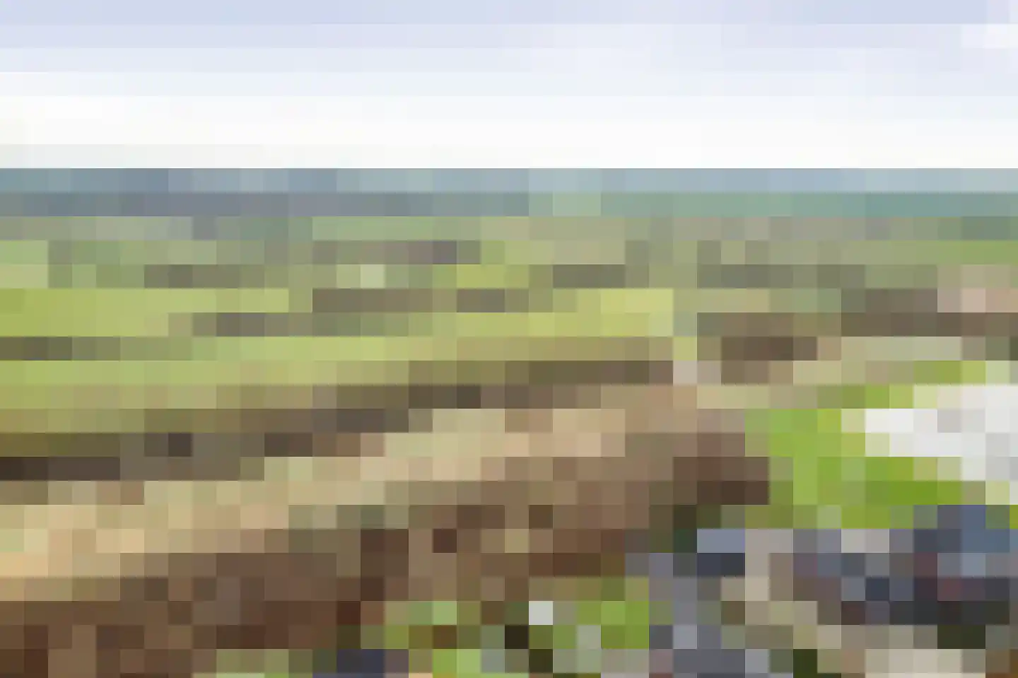Sleutelbloem 12 Twello thumbnail 35