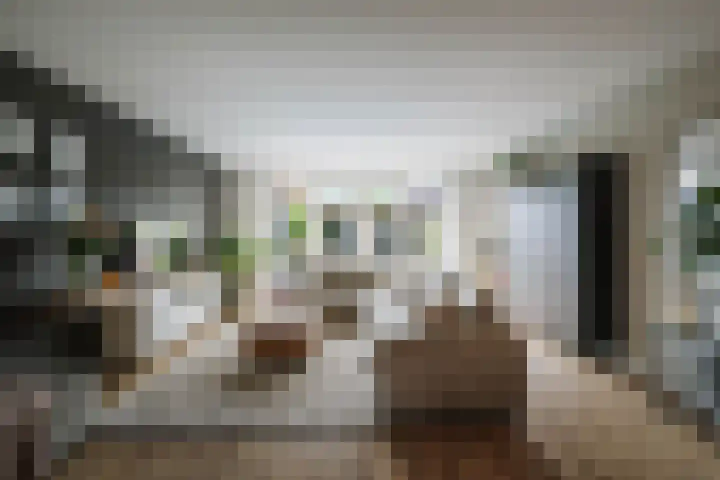 Sleutelbloem 12 Twello thumbnail 5