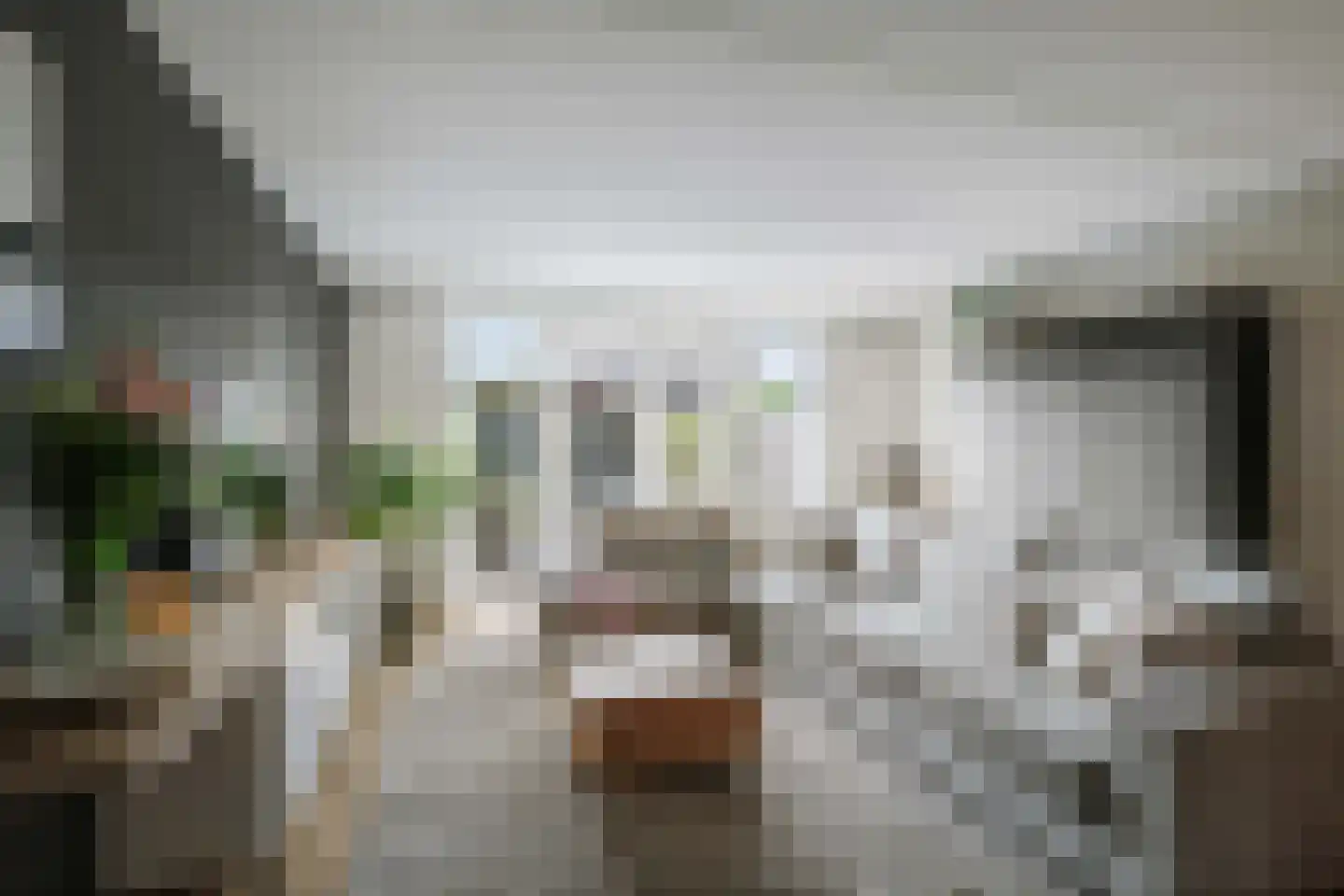 Sleutelbloem 12 Twello thumbnail 6