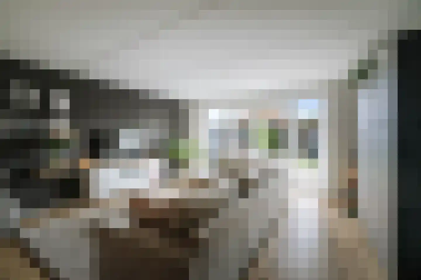 Sleutelbloem 12 Twello thumbnail 7