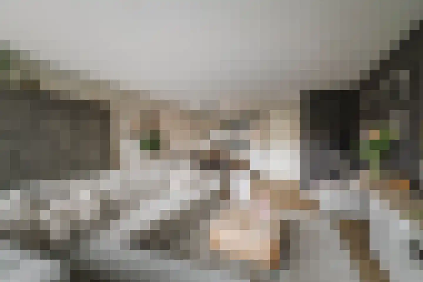 Sleutelbloem 12 Twello thumbnail 9