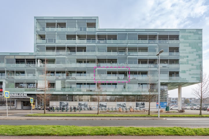 Sleutelbloem 13 in Zwaag foto