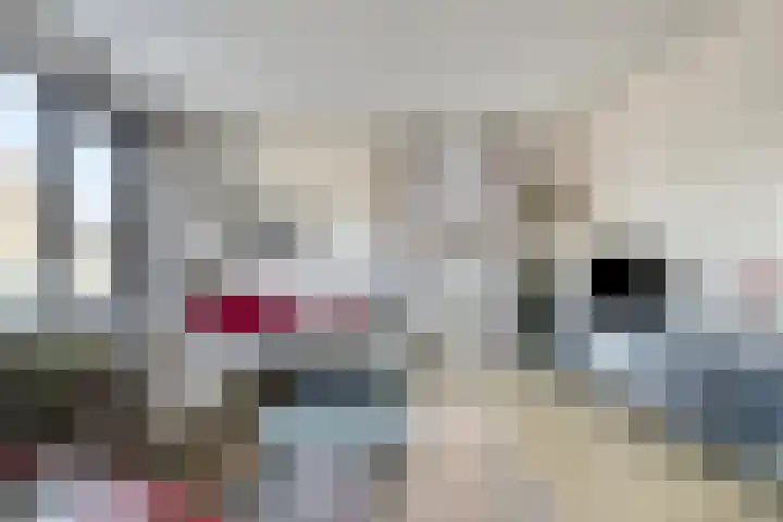 Sleutelbloem 147 Leek thumbnail 10