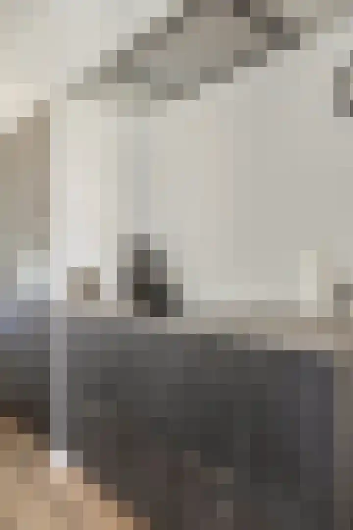 Sleutelbloem 147 Leek thumbnail 16