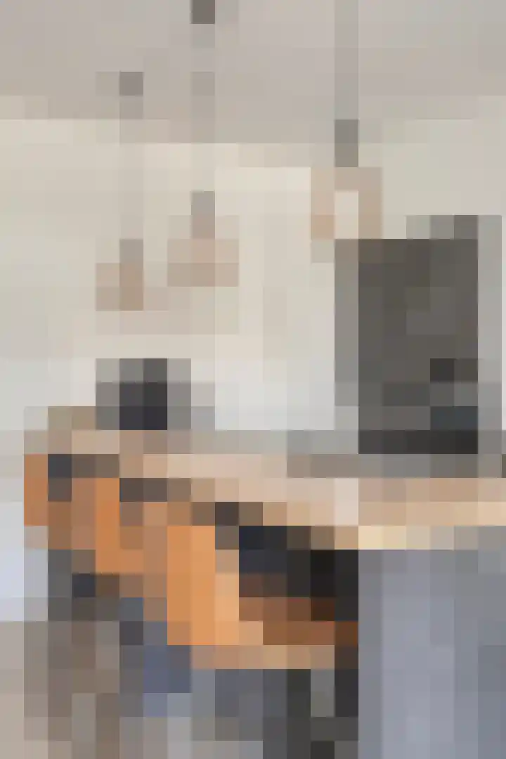 Sleutelbloem 147 Leek thumbnail 17