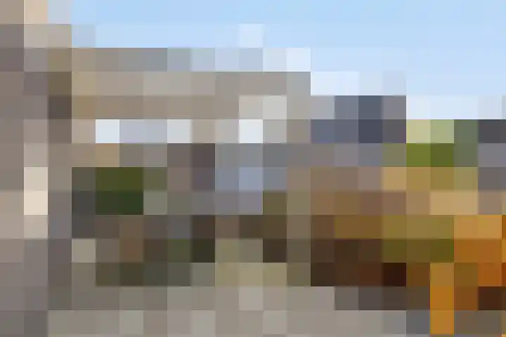 Sleutelbloem 147 Leek thumbnail 38
