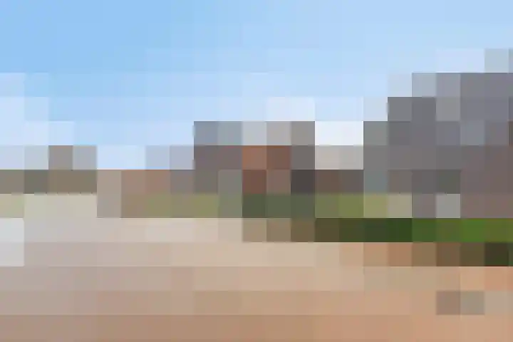 Sleutelbloem 147 Leek thumbnail 4