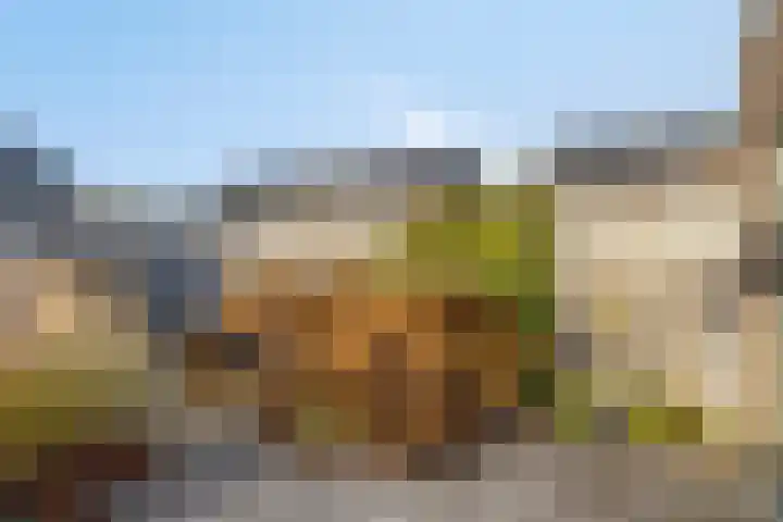 Sleutelbloem 147 Leek thumbnail 41