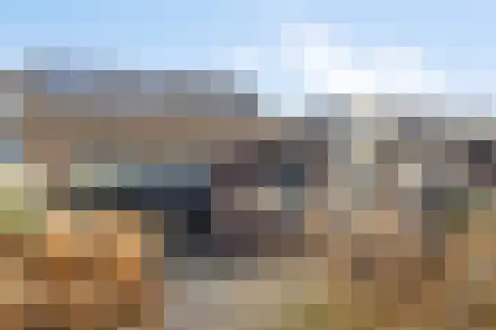 Sleutelbloem 147 Leek thumbnail 45