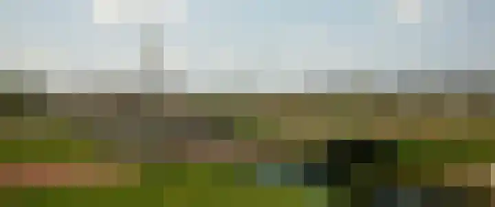 Sleutelbloem 147 Leek thumbnail 48