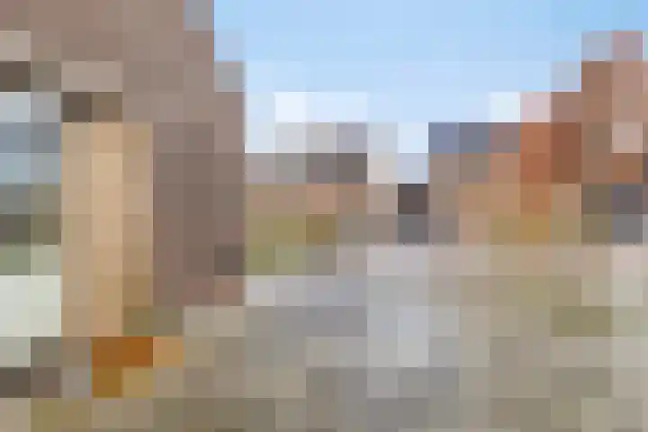 Sleutelbloem 147 Leek thumbnail 6