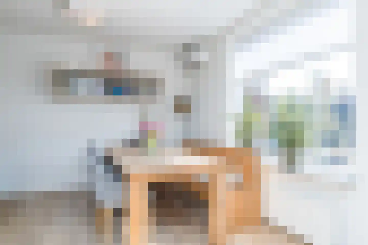 Sleutelbloem 15 Kerkrade thumbnail 10