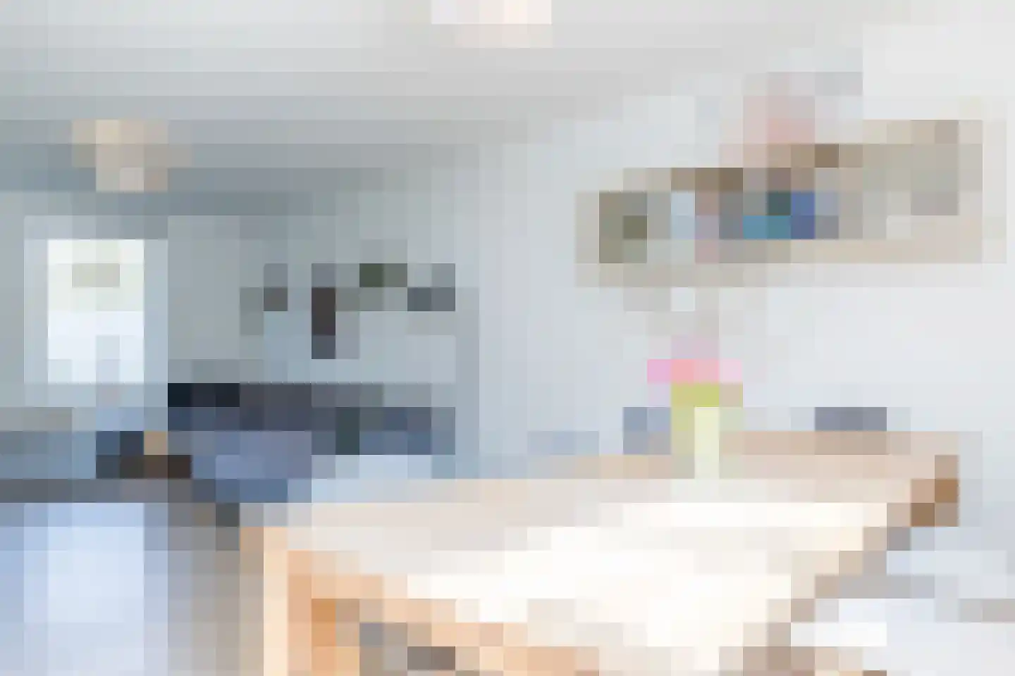 Sleutelbloem 15 Kerkrade thumbnail 11