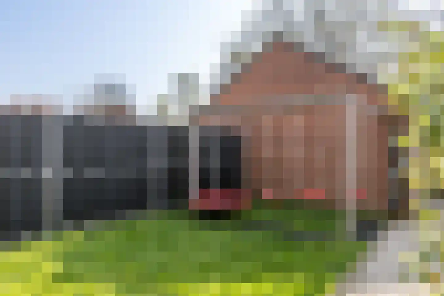 Sleutelbloem 15 Kerkrade thumbnail 26