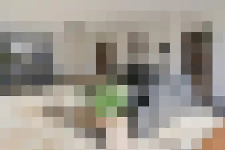 Sleutelbloem 17 Breukelen thumbnail 9