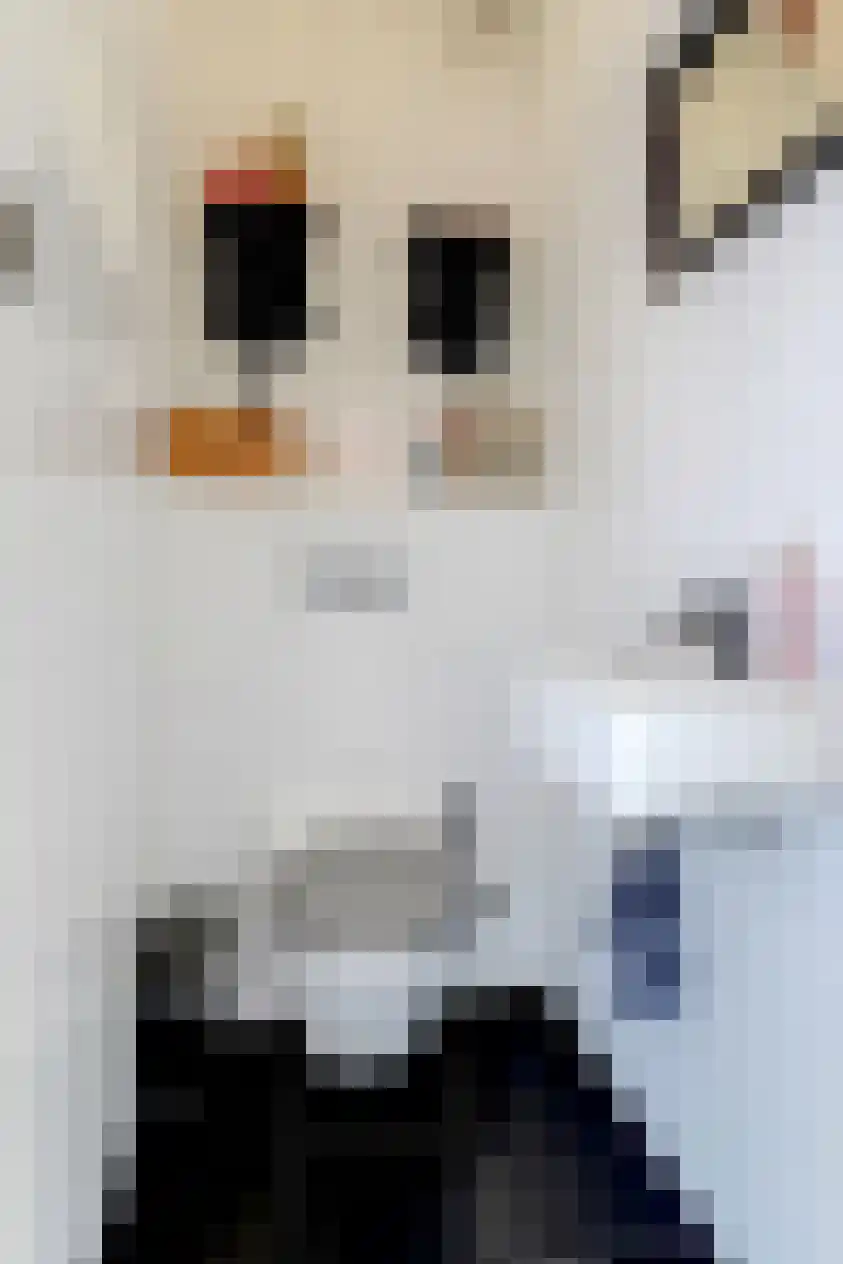 Sleutelbloem 17 Opmeer thumbnail 20