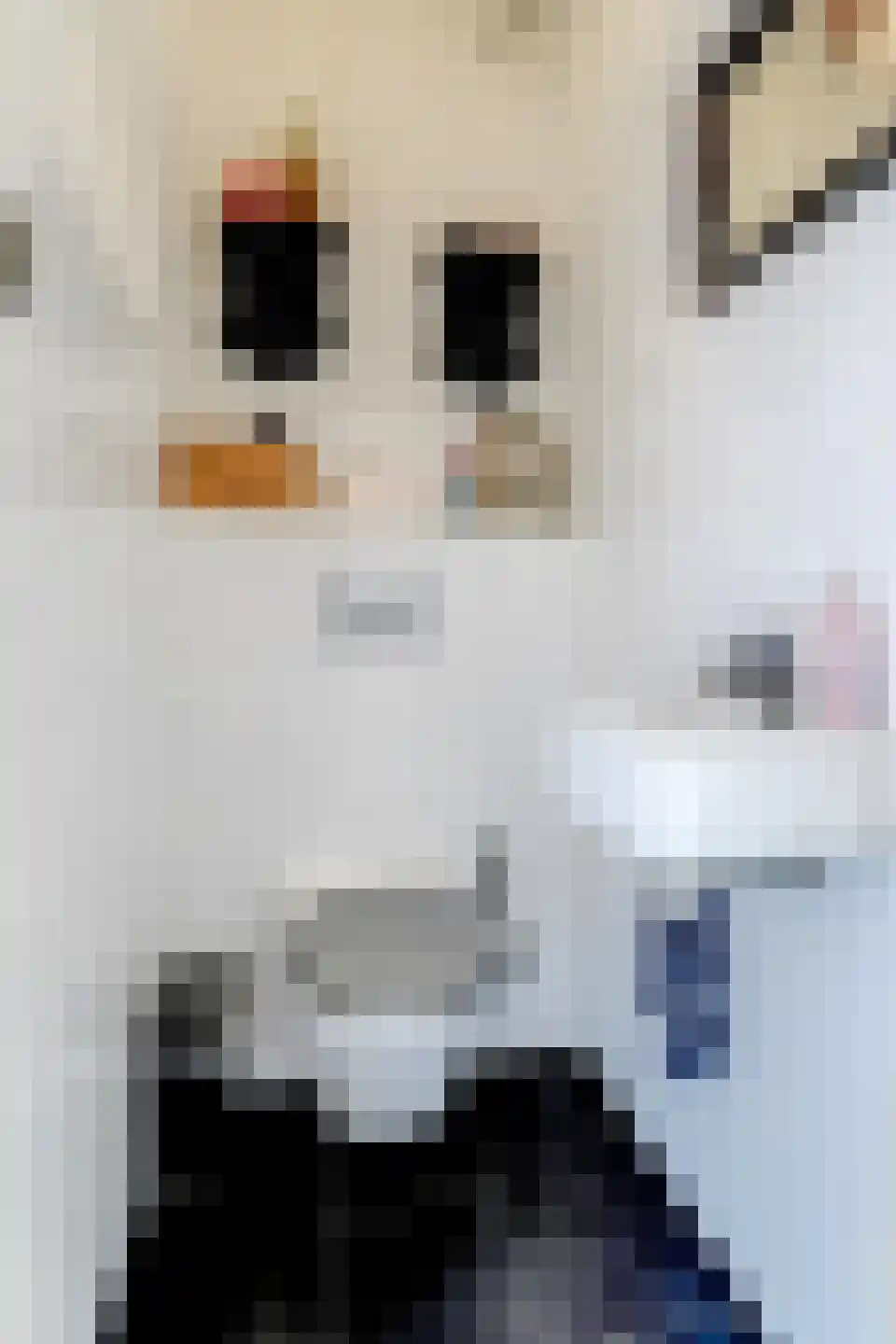 Sleutelbloem 17 Opmeer thumbnail 20